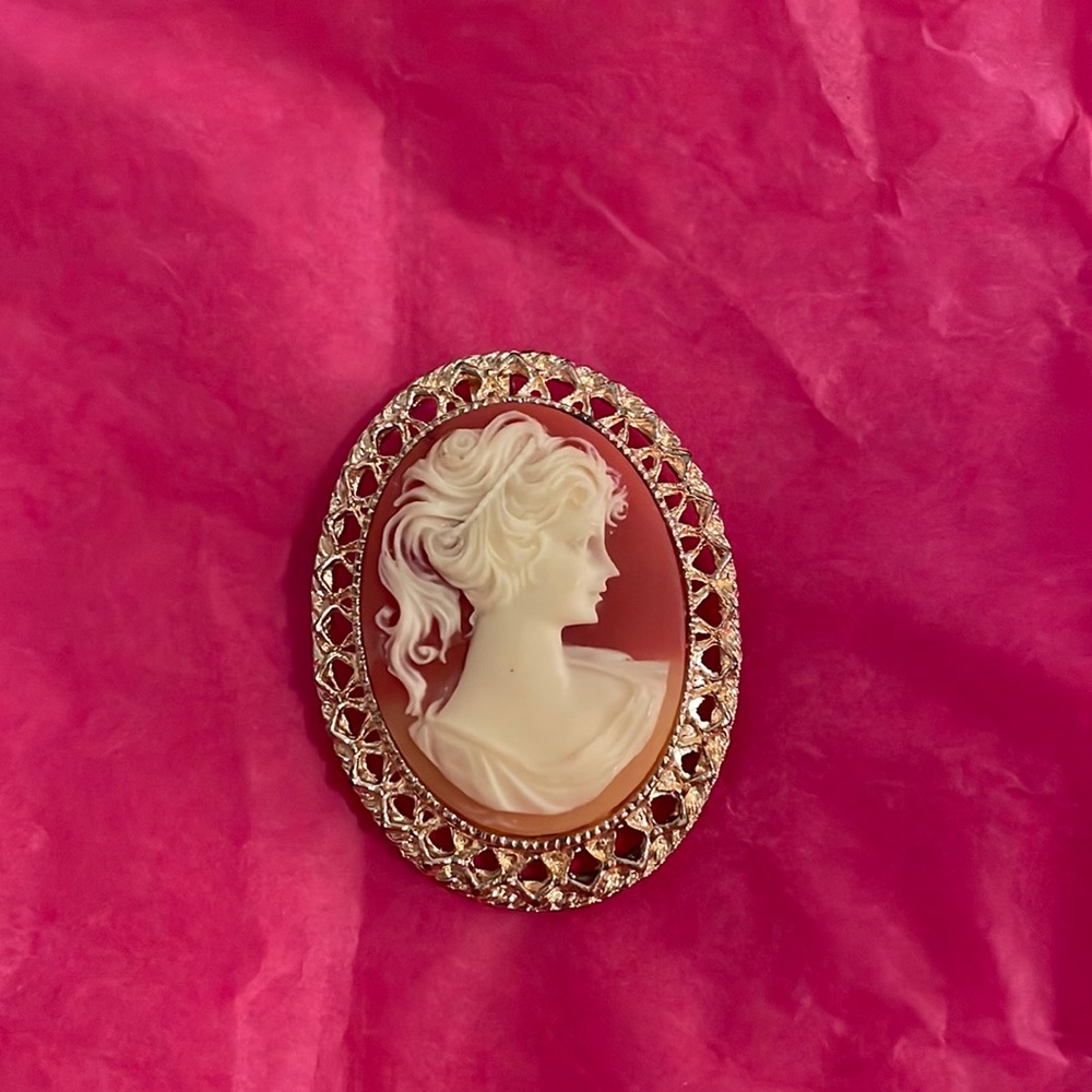 Faux cameo brooch